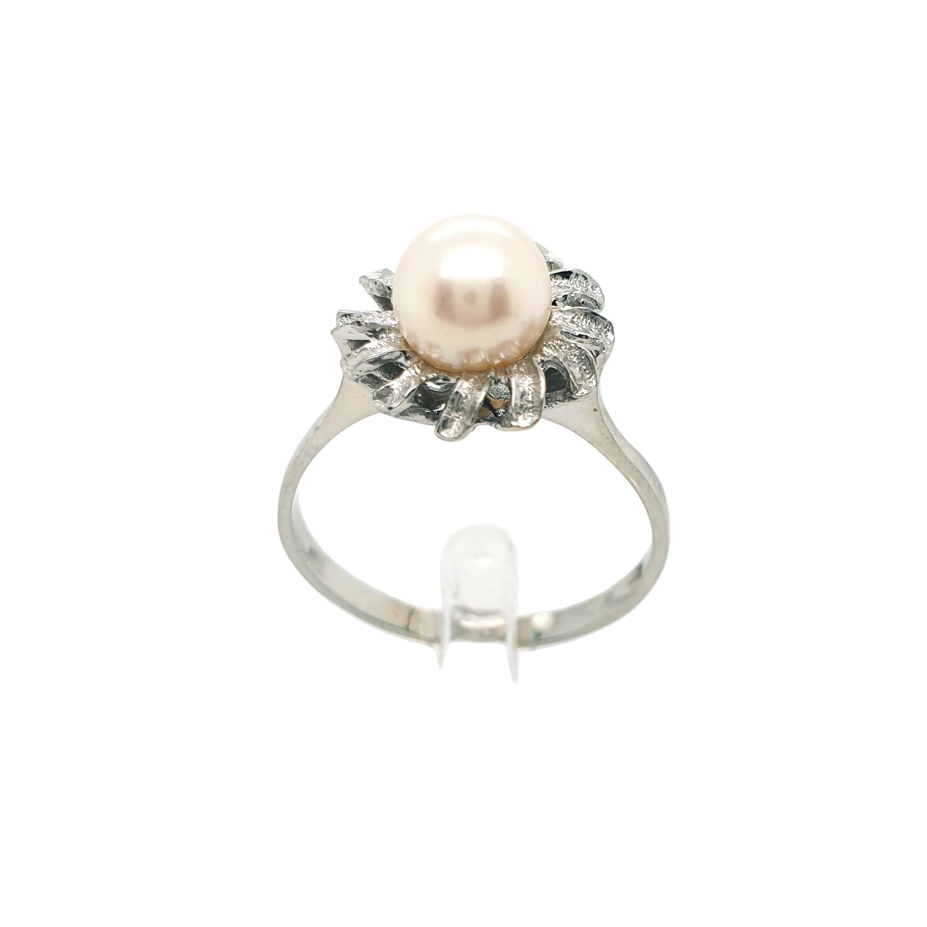 Ring Goldring Perle 585/14 Karat Weißgold Gr.60,5
