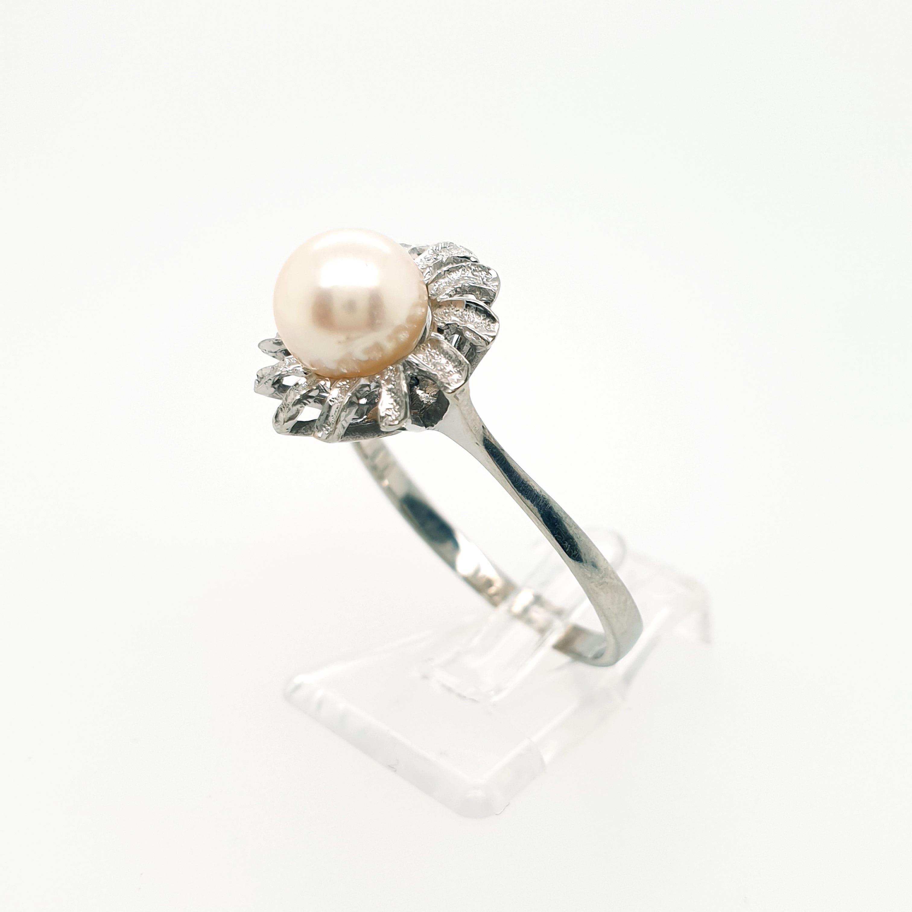 Ring Goldring Perle 585/14 Karat Weißgold Gr.60,5