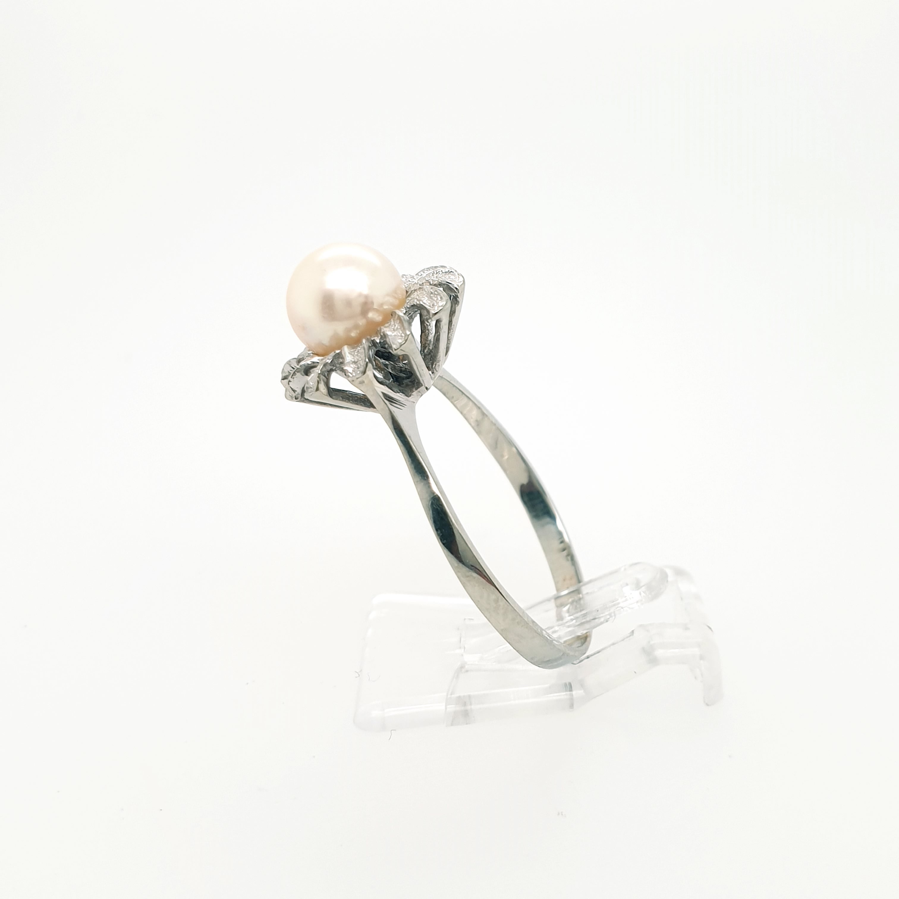 Ring Goldring Perle 585/14 Karat Weißgold Gr.60,5
