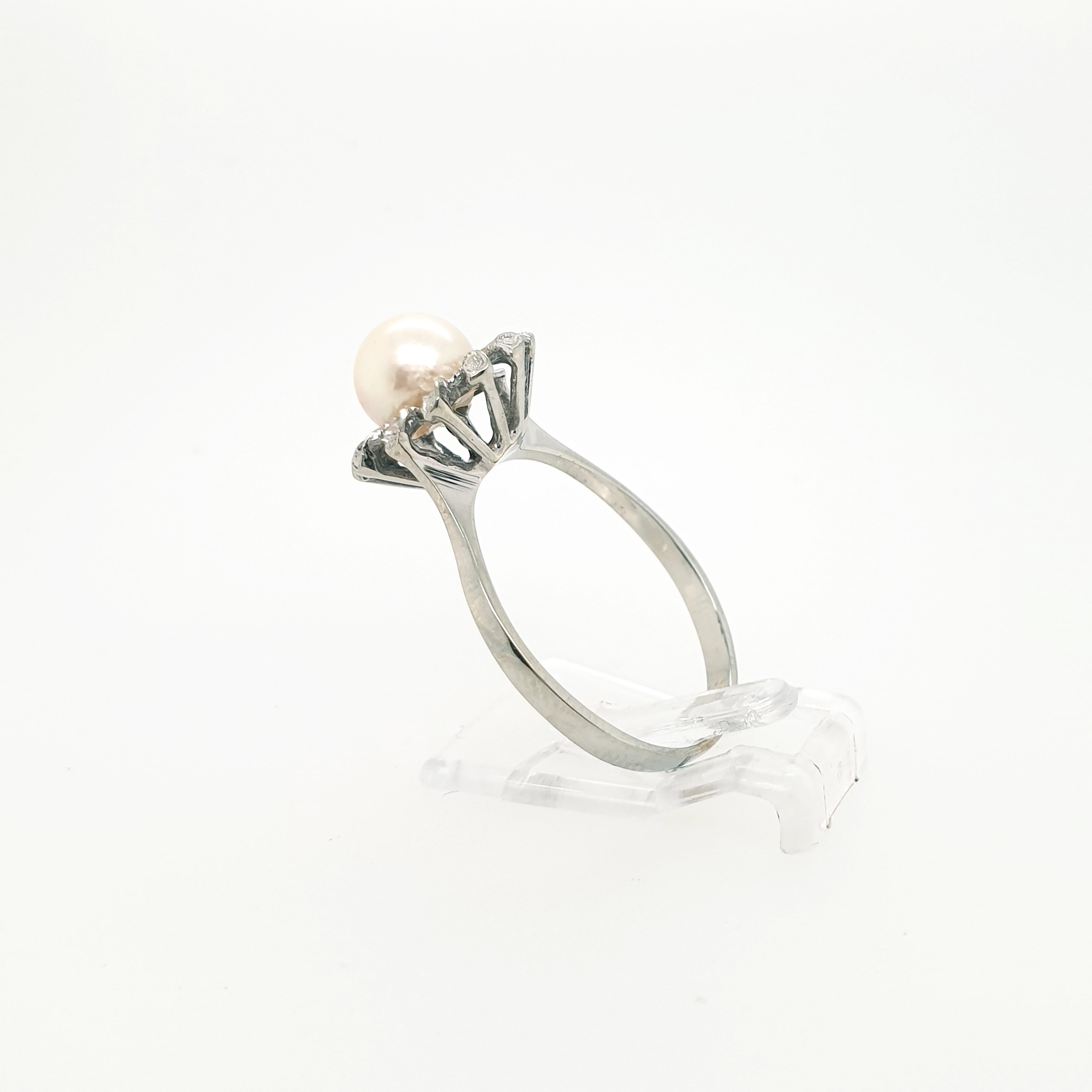 Ring Goldring Perle 585/14 Karat Weißgold Gr.60,5