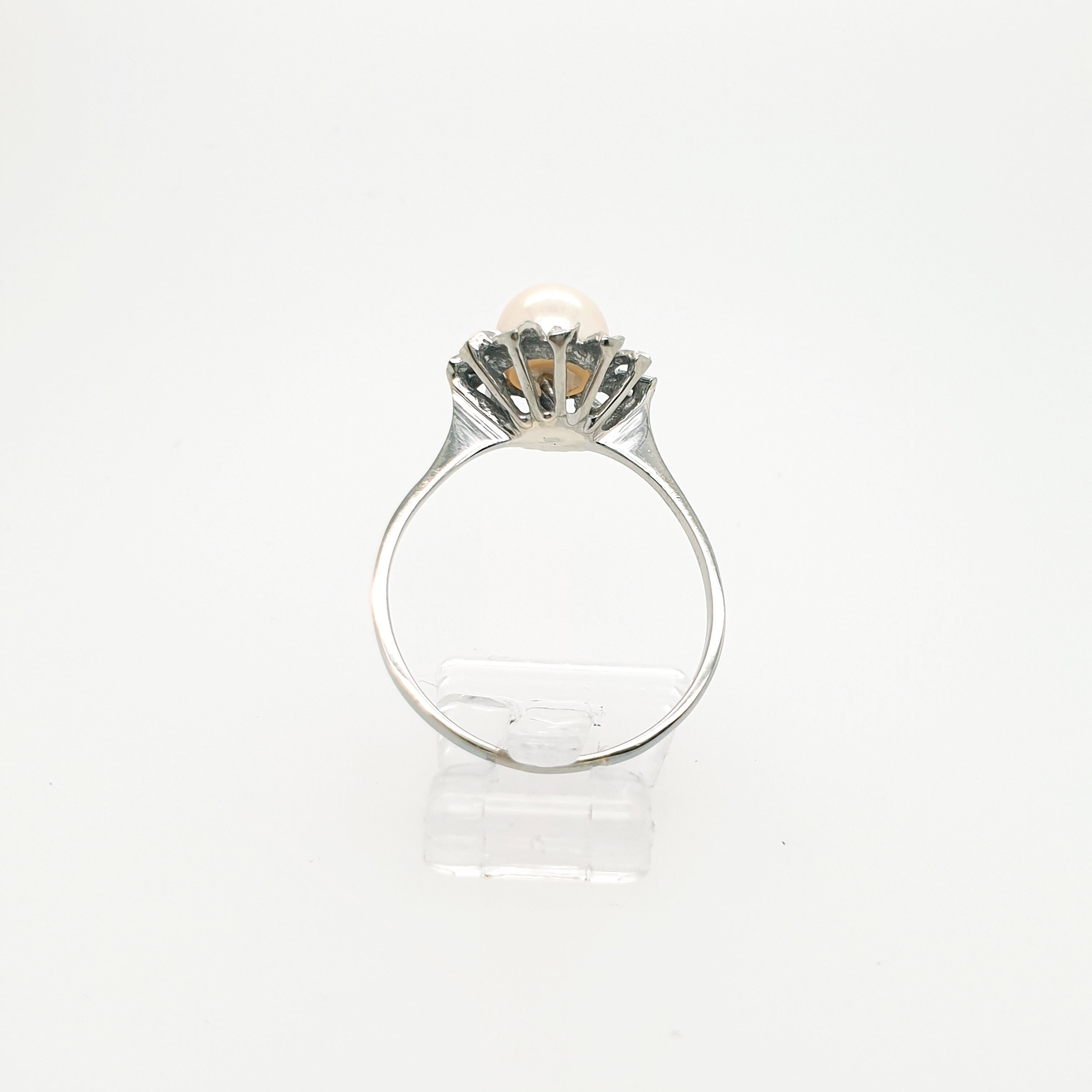 Ring Goldring Perle 585/14 Karat Weißgold Gr.60,5