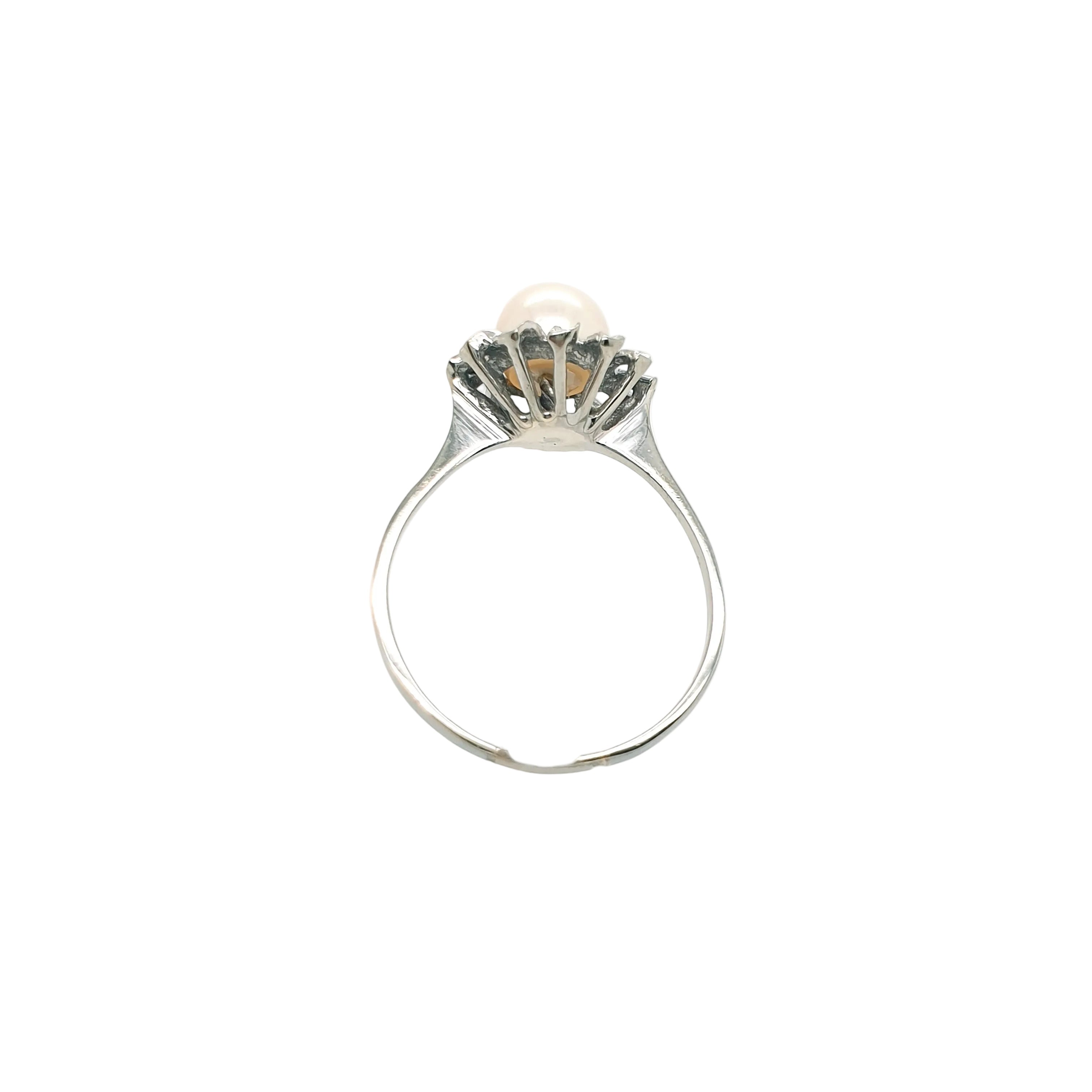 Ring Goldring Perle 585/14 Karat Weißgold Gr.60,5
