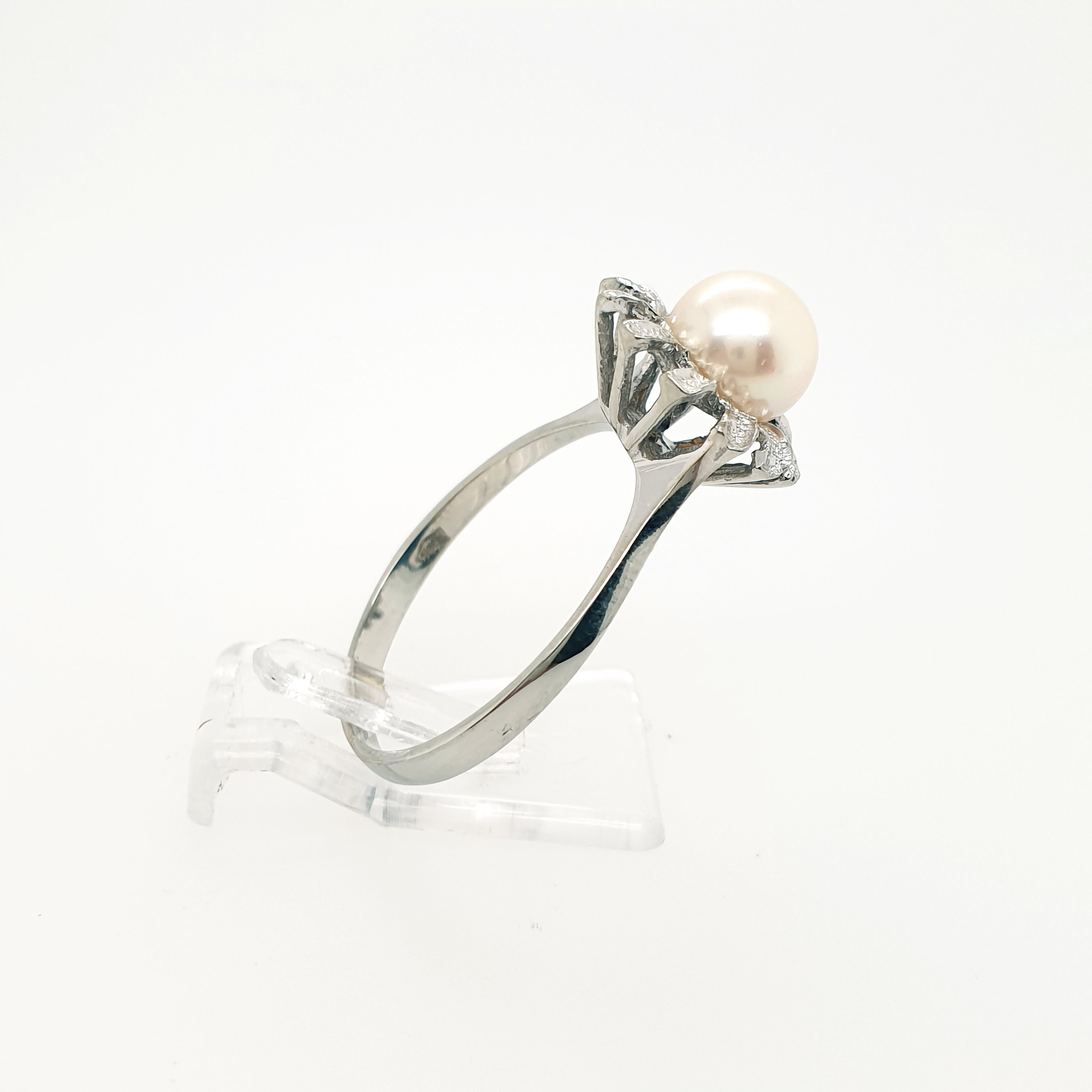 Ring Goldring Perle 585/14 Karat Weißgold Gr.60,5