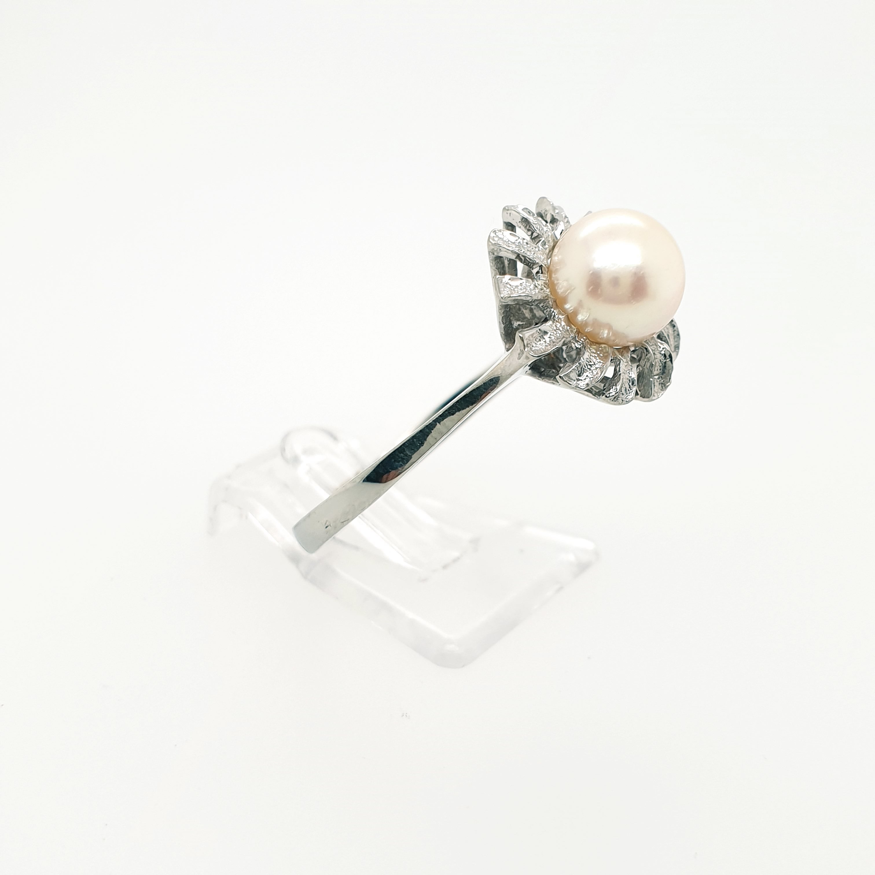 Ring Goldring Perle 585/14 Karat Weißgold Gr.60,5