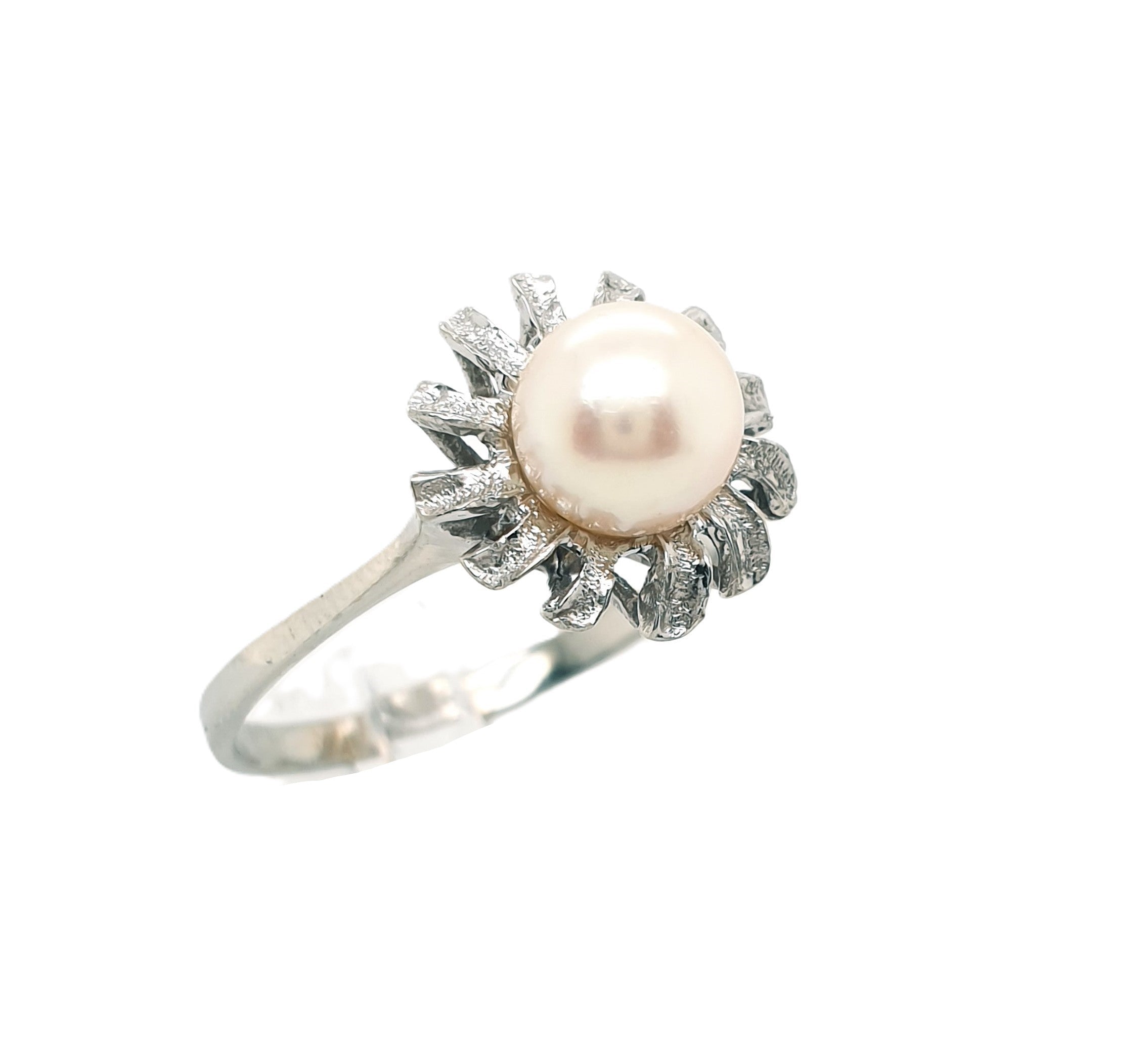 Ring Goldring Perle 585/14 Karat Weißgold Gr.60,5
