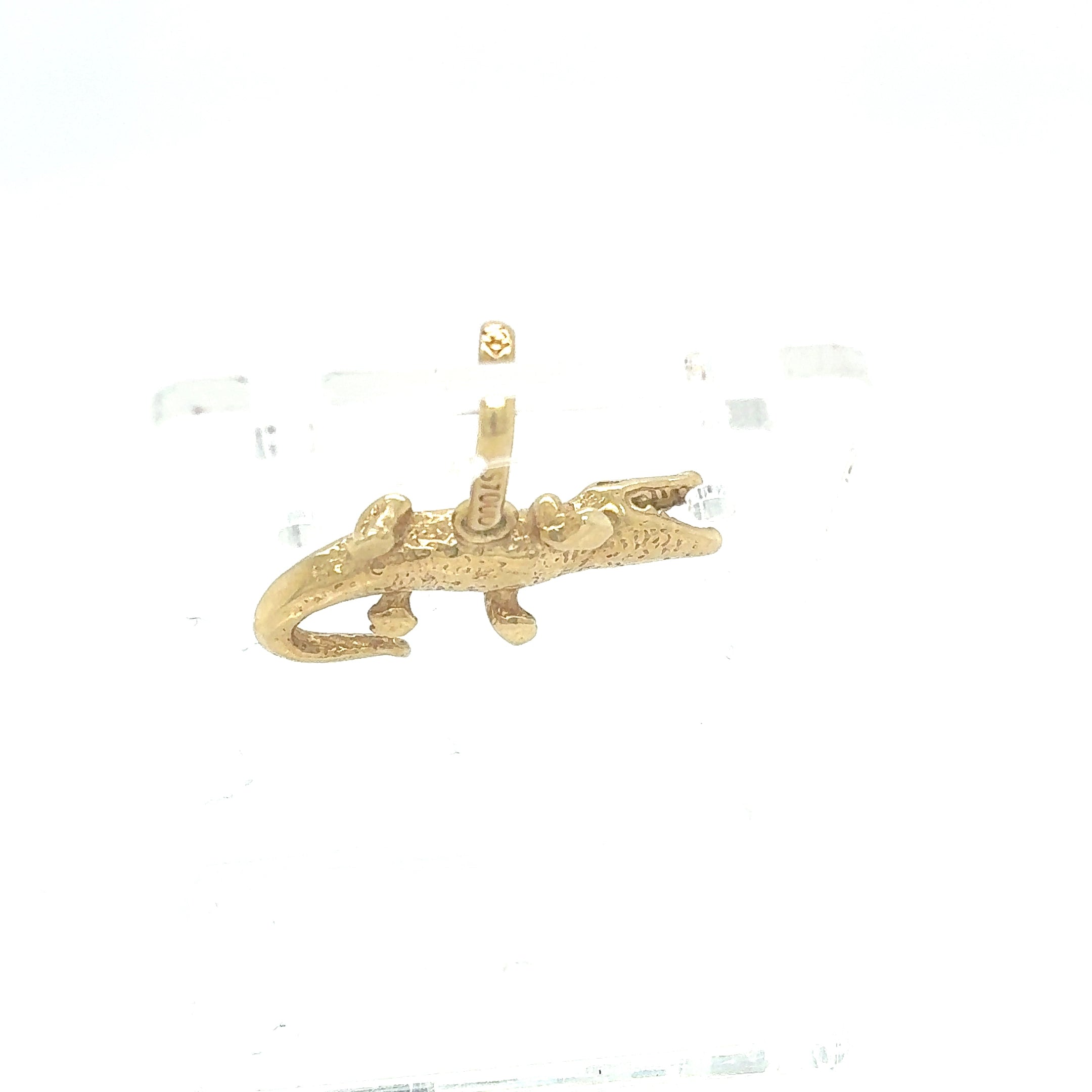 Gold Anhänger Reptil Gelbgold 585/14KT