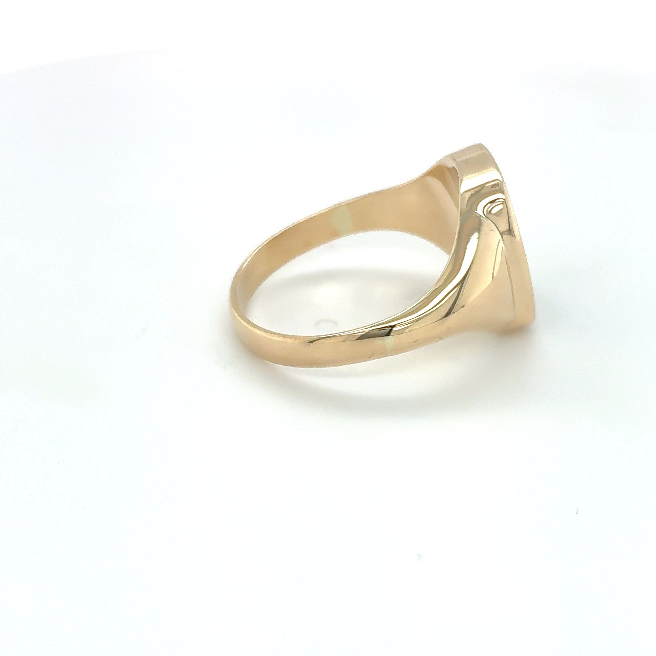 Siegelring 585 Gelbgold 14kt Ring Gold Gr. 66