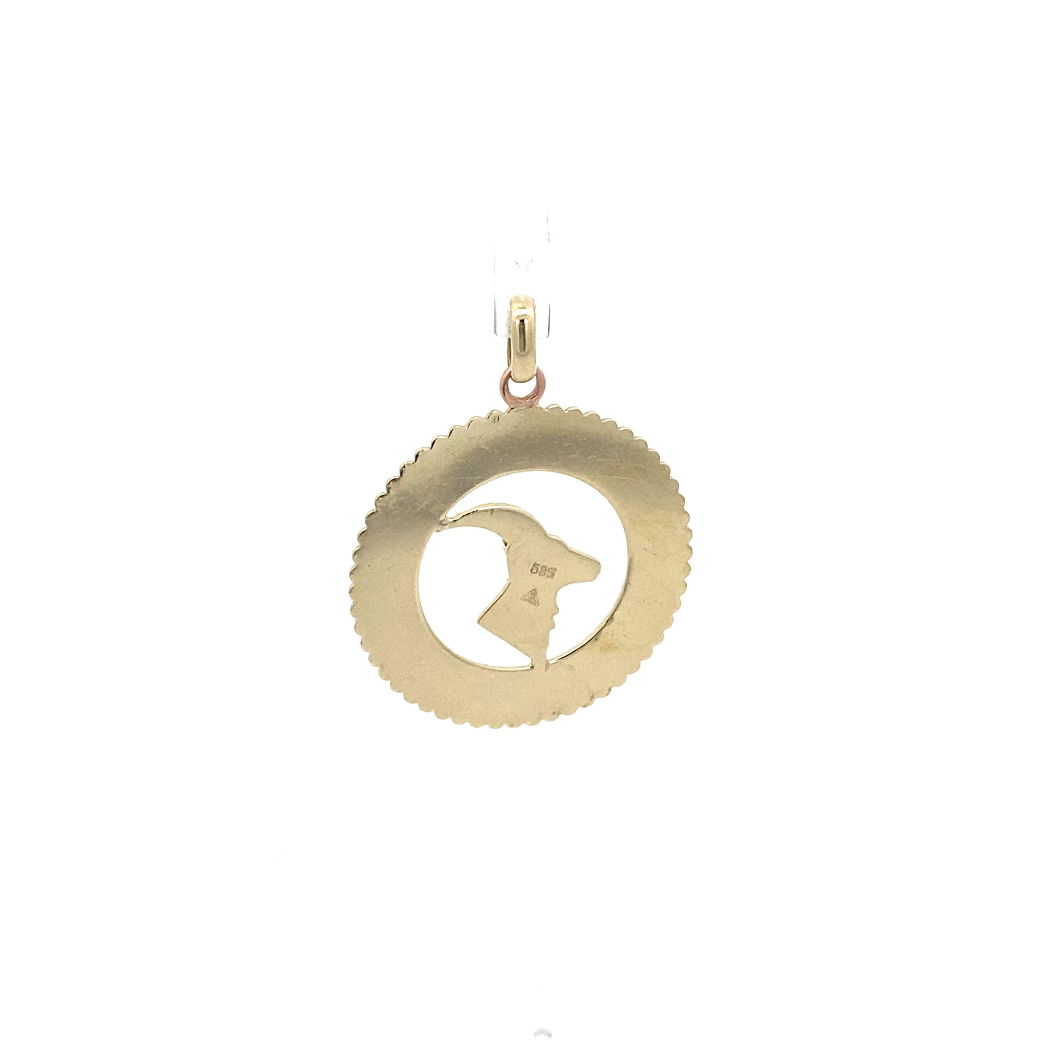 Schmuckanhänger Steinbock Gelbgold 585