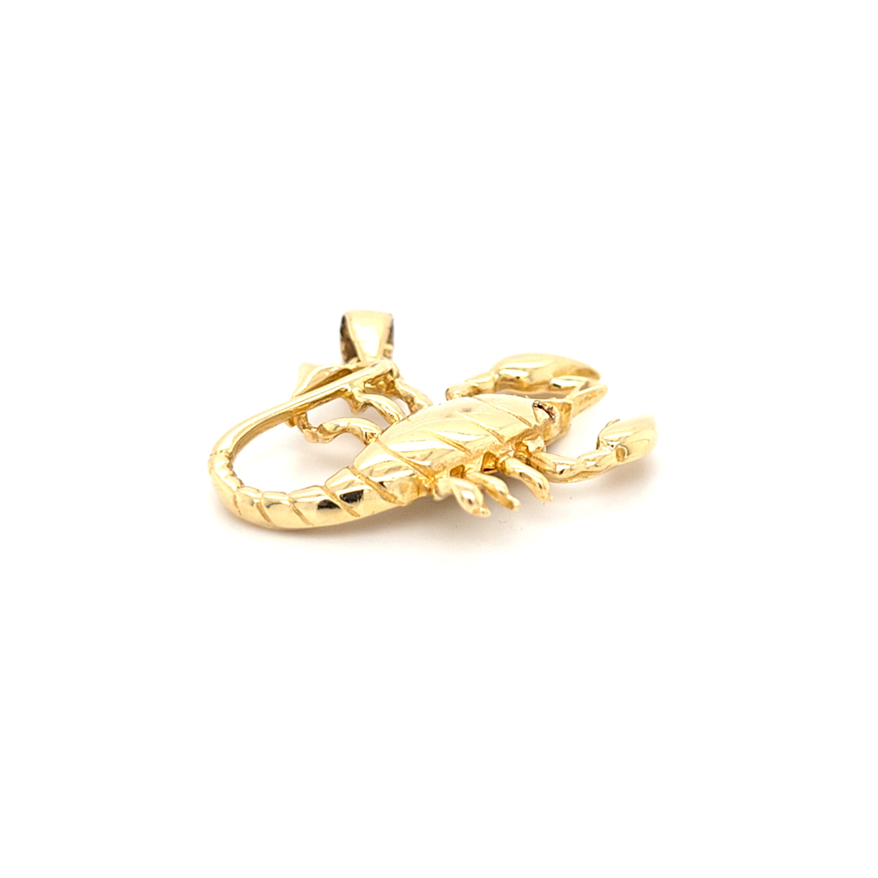 Anhänger Schmuck Gold 585 14 kt Skorpion Schmucksteine Rot Geschenk