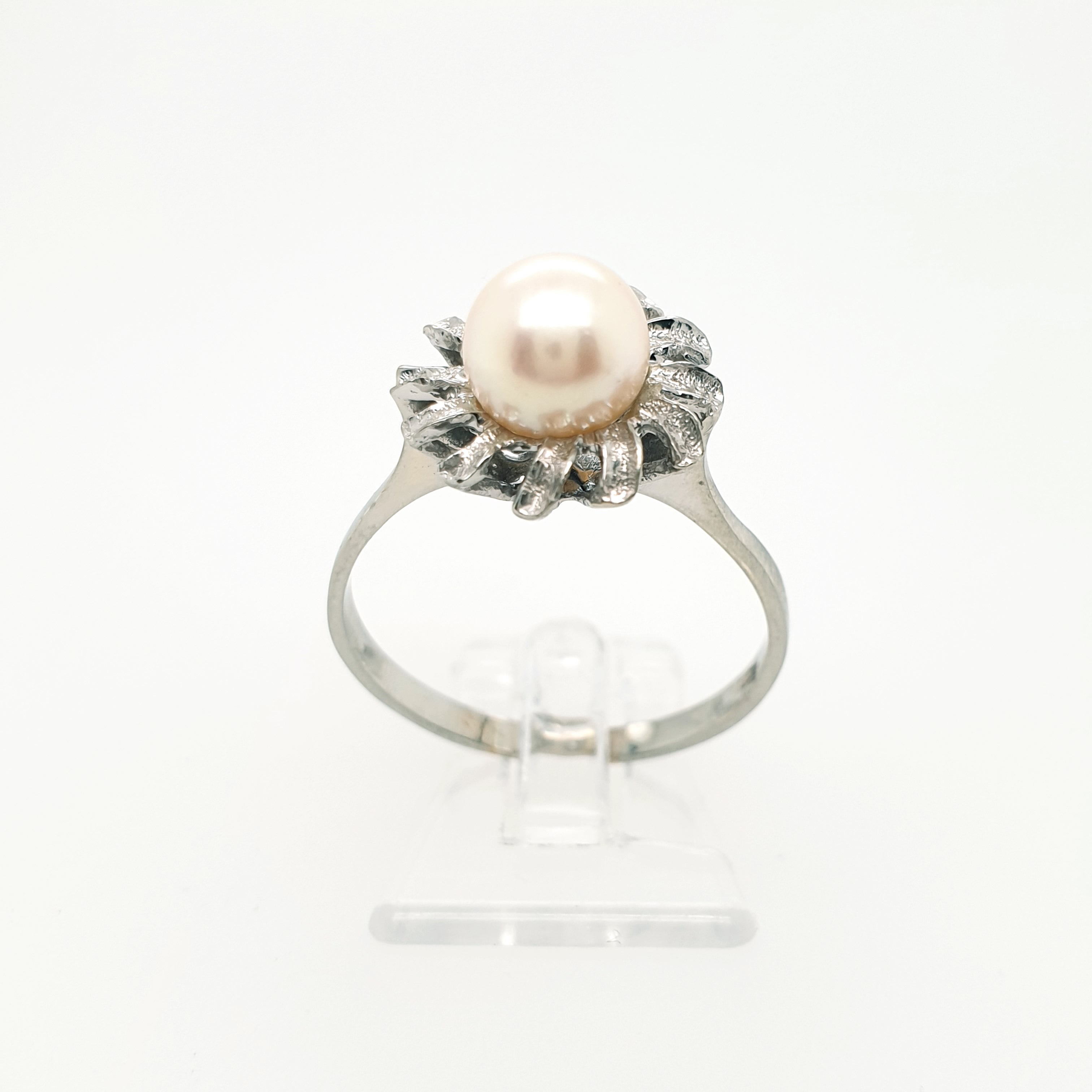 Ring Goldring Perle 585/14 Karat Weißgold Gr.60,5