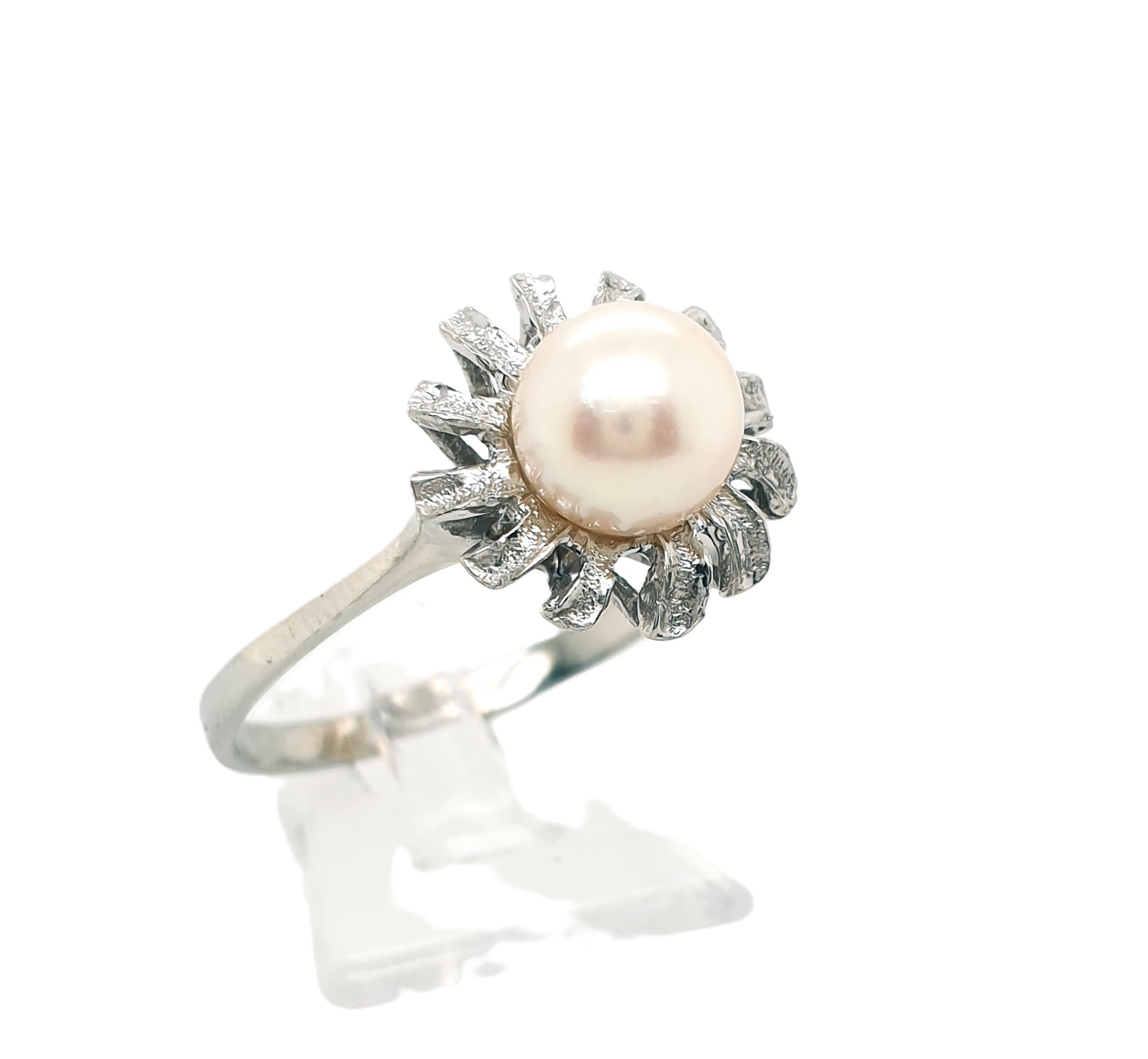 Ring Goldring Perle 585/14 Karat Weißgold Gr.60,5