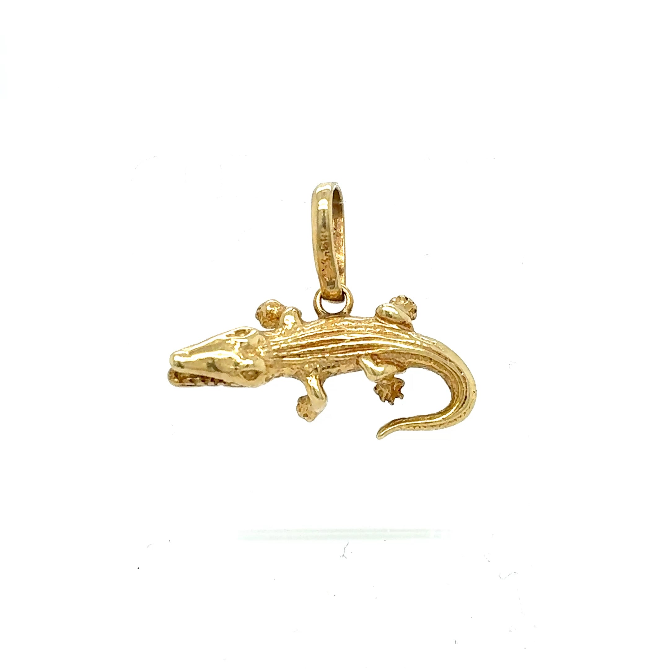 Gold Anhänger Reptil Gelbgold 585/14KT